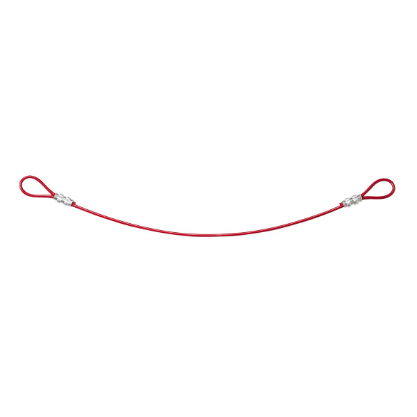 Brady Double Looped Cable Lockout
