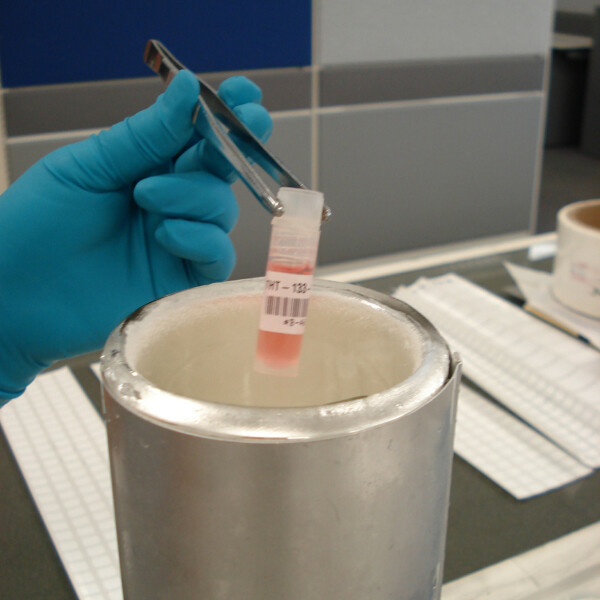 Brady M211 and M210 Self-laminating Polyester Cryogenic Laboratory Labels - Image 3