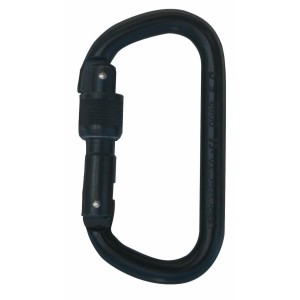 3M™ Protecta® Screw Gate Carabiner AJ520