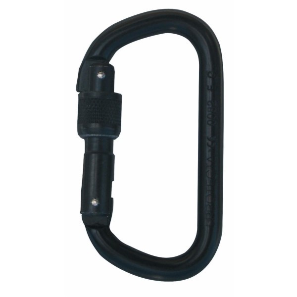 3M™ Protecta® Screw Gate Carabiner AJ520