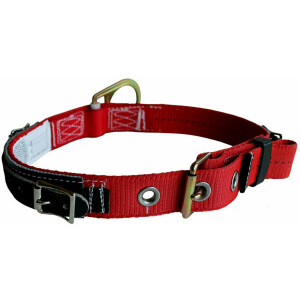 Ζώνη Ασφαλείας 3M™ Protecta® Pass-Thru Buckle Positioning Belt with Hip Pad