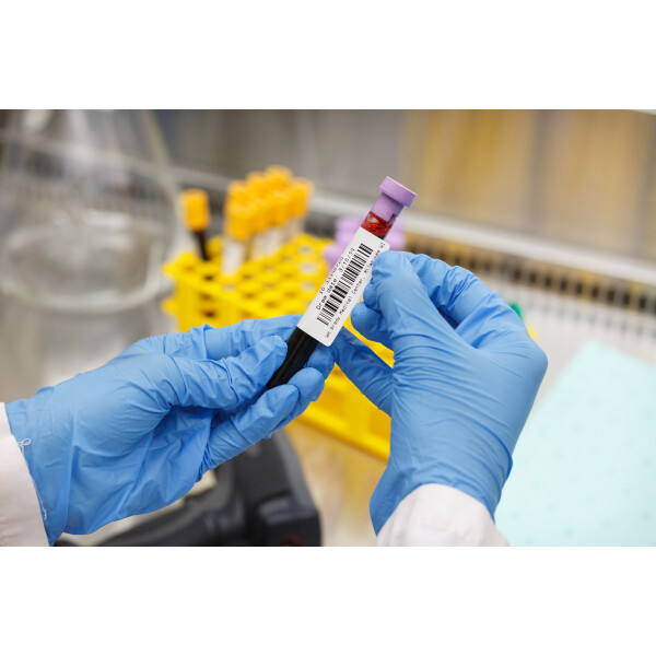 Brady BMP61 Polypropylene Labels - Image 2