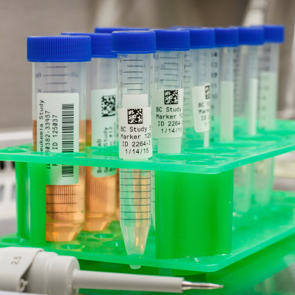 Brady Polypropylene Cryogenic Laboratory Labels - Image 5