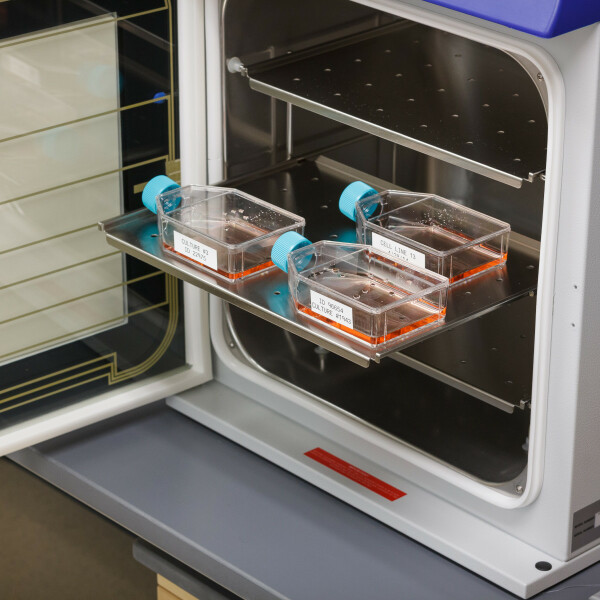 Brady B33 Series Polypropylene Vial Top Laboratory Labels - Image 2