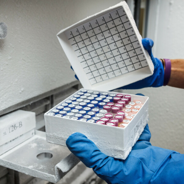 Brady Ultra Thin Polyester Laboratory Labels - Image 3