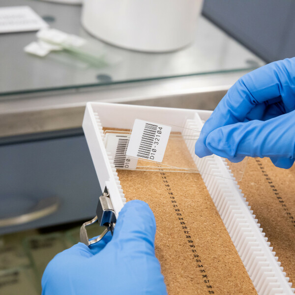 Brady Polyester Microscope Slide Laboratory Labels - Image 2