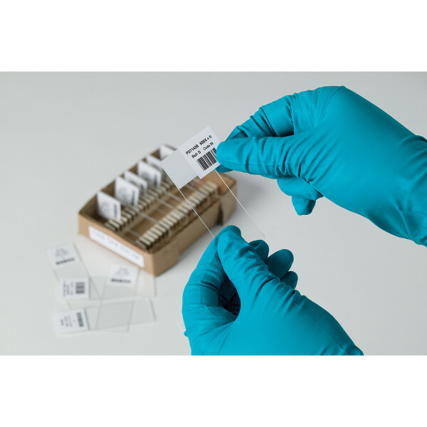 Brady Paper General Identification Labels - Image 2