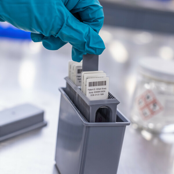 Brady Polyester Microscope Slide Laboratory Labels - Image 5